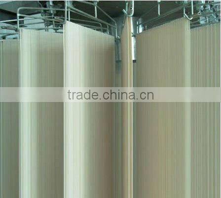 dried noodles plants