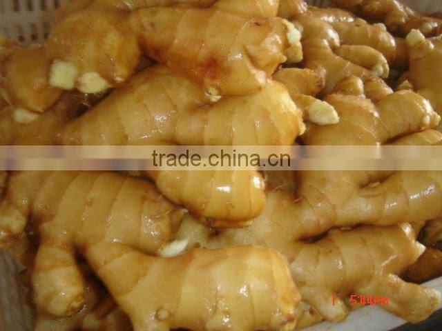 China organic fresh ginger suppliers