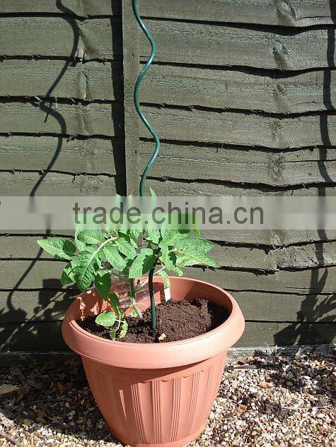 Green Spiral Tomato Plant Stakes