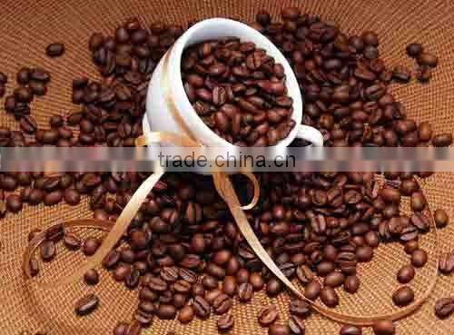 high effiency factory electric roasting machine