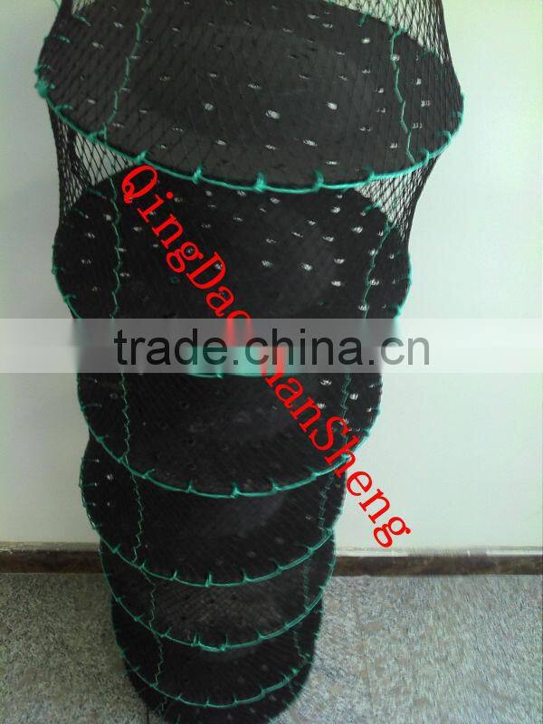 scallop farming lantern nets aquaculture buoys