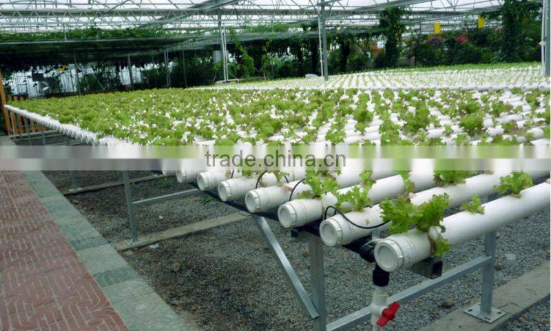 customber design hydroponic system