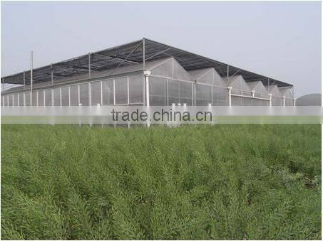 Good performance Low Cost Steel Frame Agricultural Greenhouse