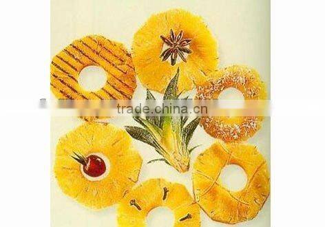 Handheld Cylindrical Pineapple cutter with Circular blade