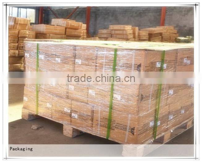 Heavy duty double Pulley Block