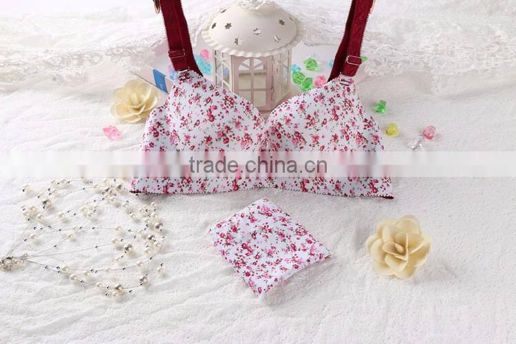 Sexy net designs cheap wholesale nude bra with picturesStandard women sexy new style bra and panty