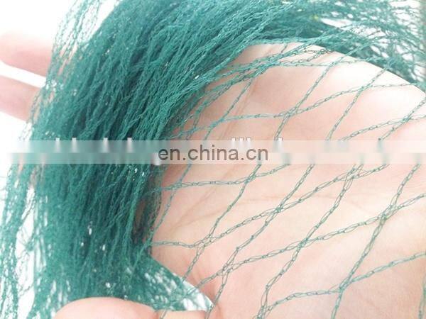 Lowest price plastic bird mesh for fruit trees