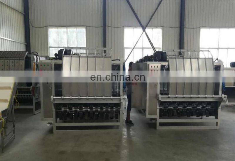 Pig unhairing Machine for slaughter house