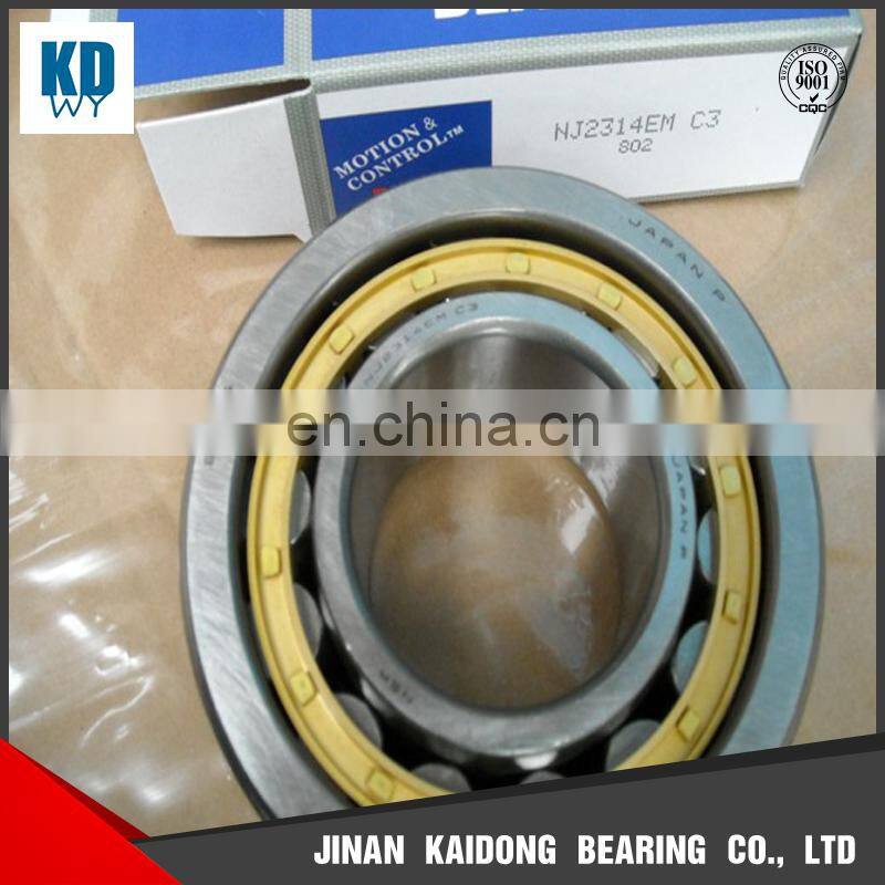 high quality NSK brand NJ 2228 E cylindrical roller bearing NJ2228 E M1