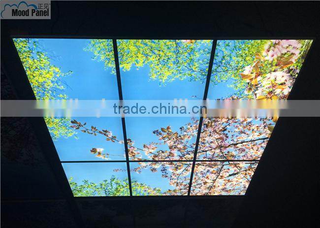 Japanese style sakura sky ceiling panel light