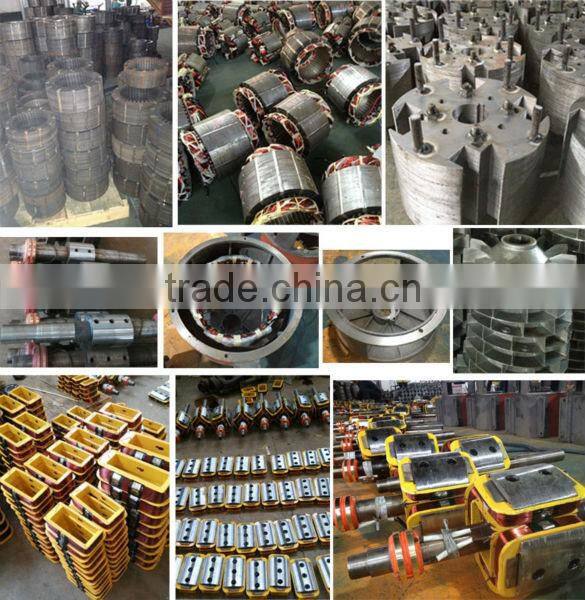 ST Series Single-phase A.C. Synchronous Alternative Energy Generator Spare Parts