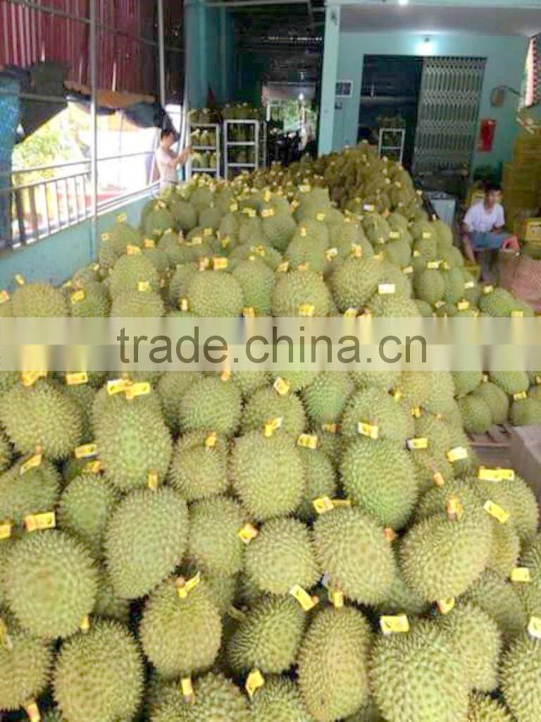 VIET NAM DURIAN- monthong durian