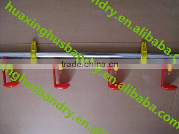 The chicken with a water fountain Chicken water fountain Large chicken with a water fountain