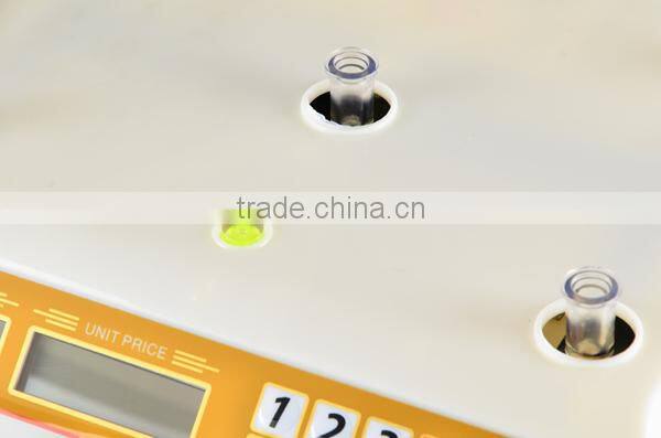 food weighing accurate weight scale