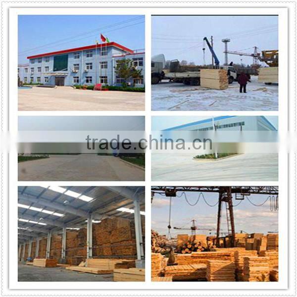 melamine plywood Pine face and back plywood , Birch face and back plywood