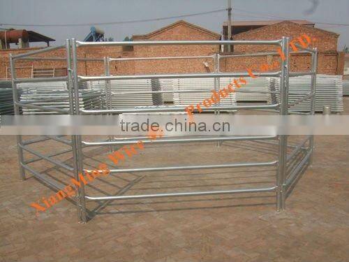 Australian standard goat yard sheep panel hot sale -china factory with 10 years expert experience
