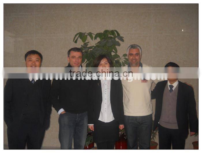 heat and power combined high efficient ce iso small natural gas power plant natural gas generator