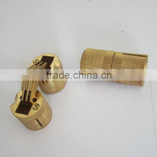 Factory Export Precision Concealed Hinge Barrel Hinge