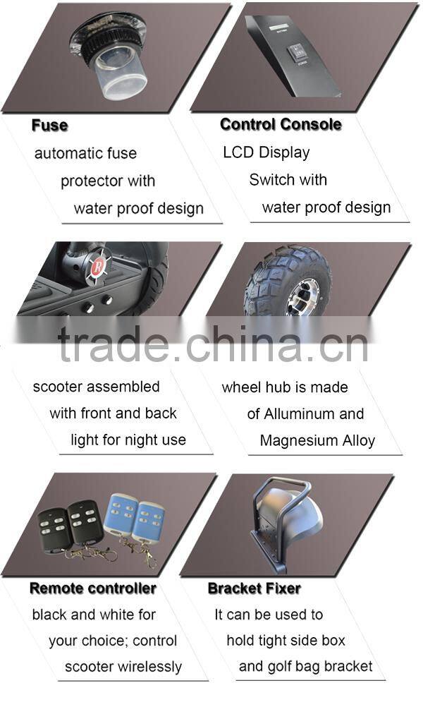 2000W Hottest Electric SEA Scooter Water Scooter for Europe