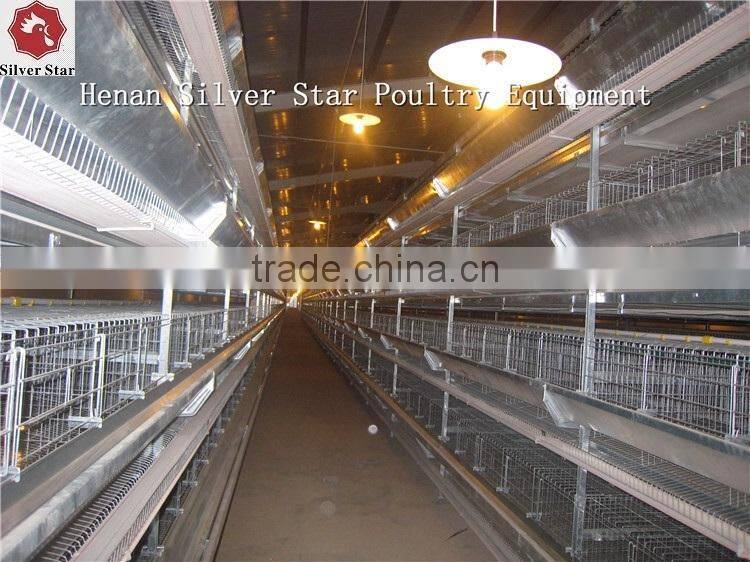 automatic belts manure removal/cleaning system chicken layer cage
