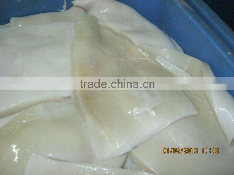 frozen giant squid fillets