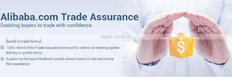 24V/48VDC Pure Sine Wave power Inverter 1000watt With AC Charger For Home