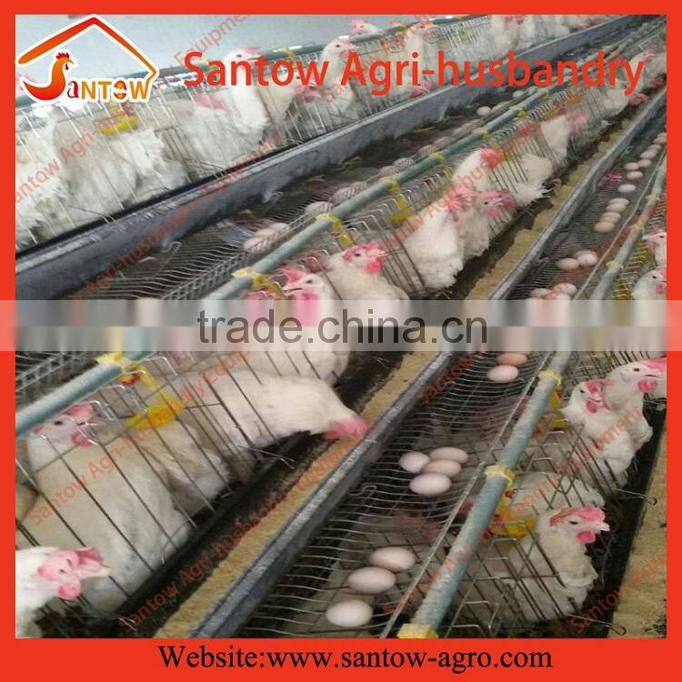 Automatic chicken egg layer cages poultry cage poultry farming equipment for sale