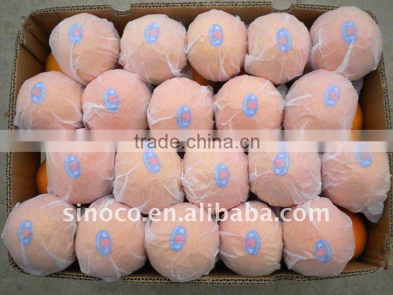 Newhall Navel Orange