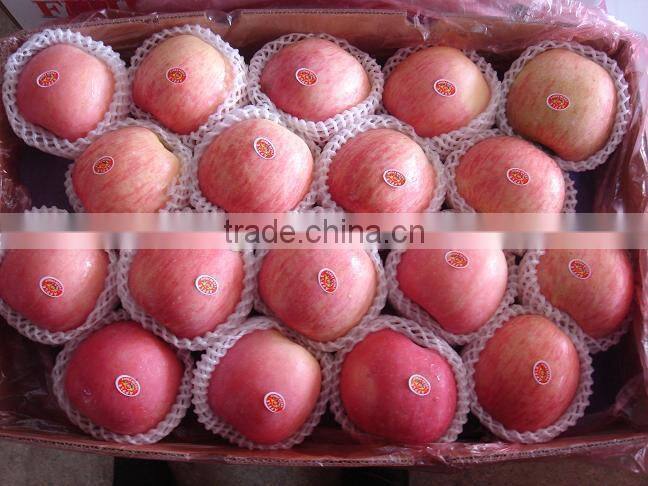 Top Quality Chinese 9kg-20kg carton fresh fuji apple