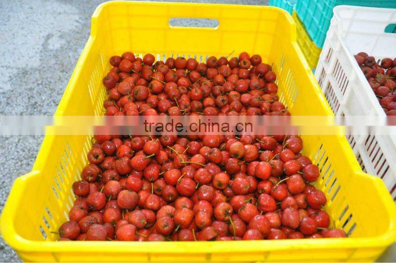 Organic Quicking frozen hawthorn berry fruit