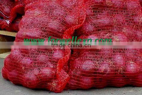 Liliaceous Vegetabless Product Type and Onion Type fresh ONION for sale