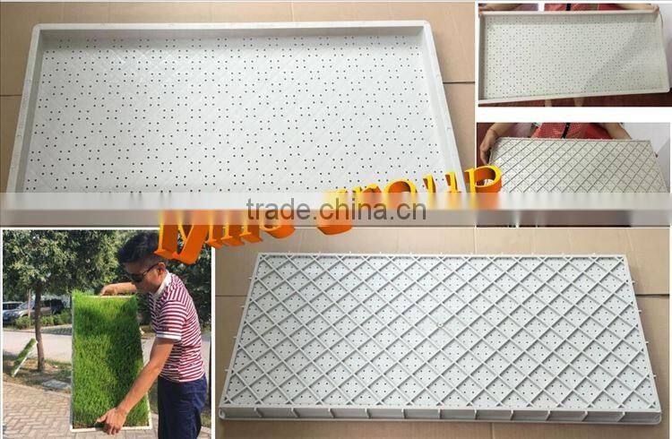 Wheatgrass Plastic Seed Starter Grow Trays For Seedling