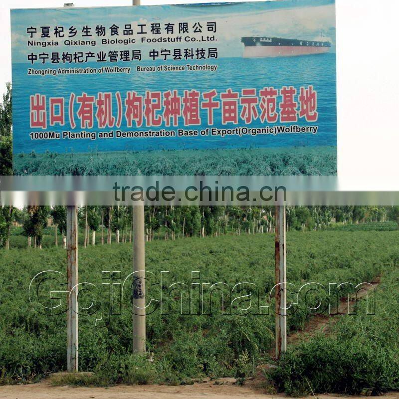 QIXIANG Fresh Goji berry Juice