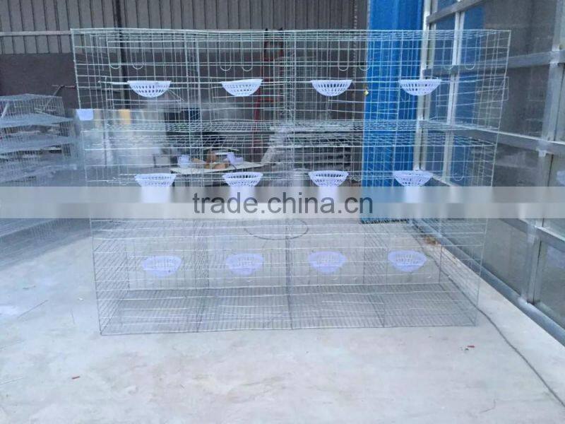 3 layers 12 doors pigeon cages for poultry farm