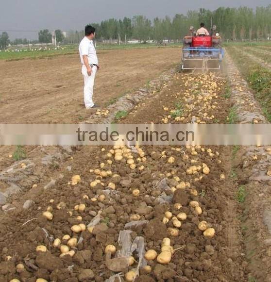 1 row and 2 row mini tractor potato