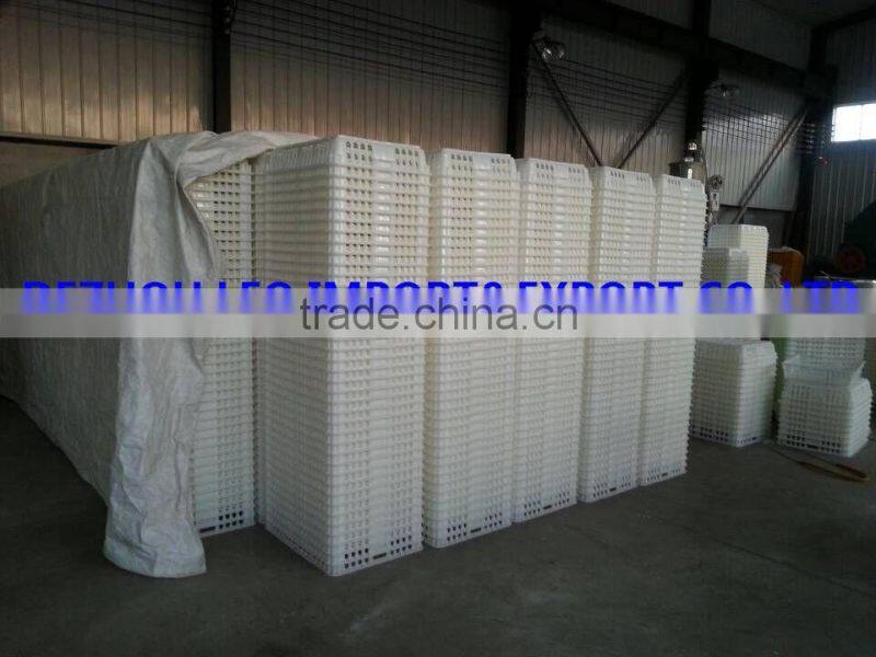 European Union hot selling plastic chicken transport box