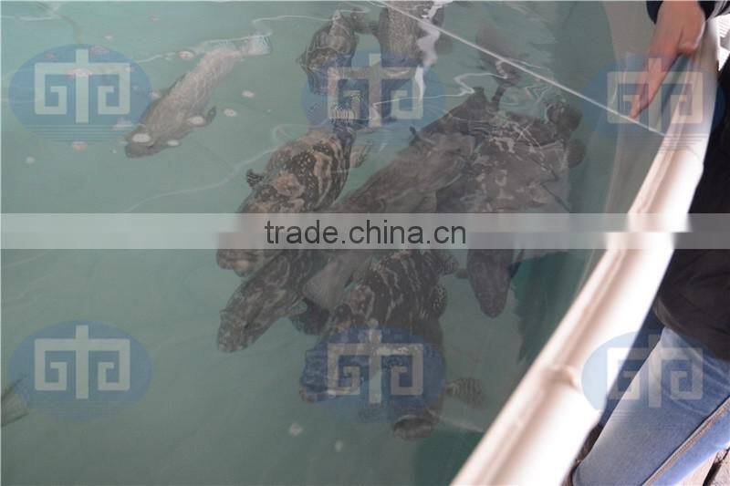 Aquaculture System for Fish Farming