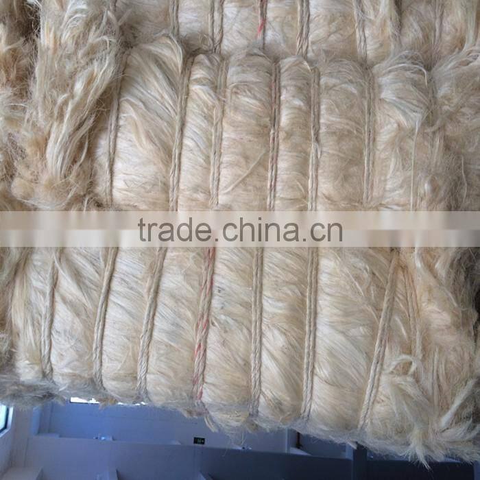 Gypsum material 100% rubber fibre natural raw bleached textile uv ug grade sisal fiber price