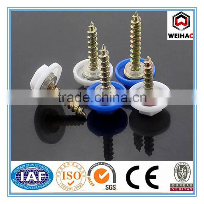 hot selling high qualiy self tapping screw with rubber washer