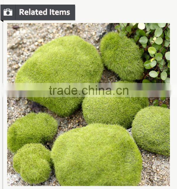 Buy direct from China manufacturer roof gardening moss stone