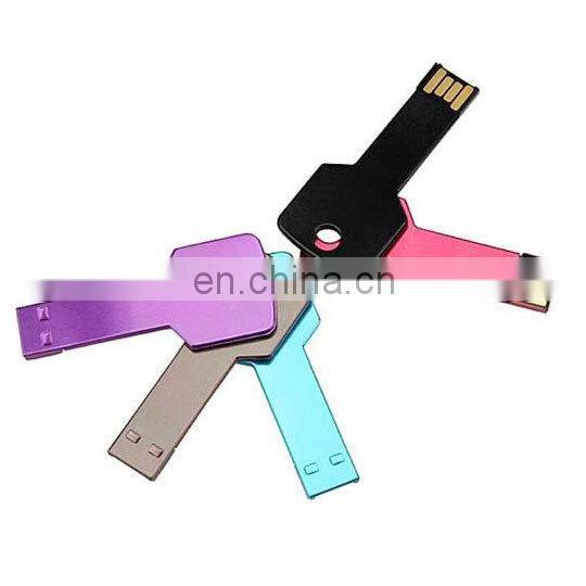 Hot selling portable souvenir usb plastic cover with keychain shape