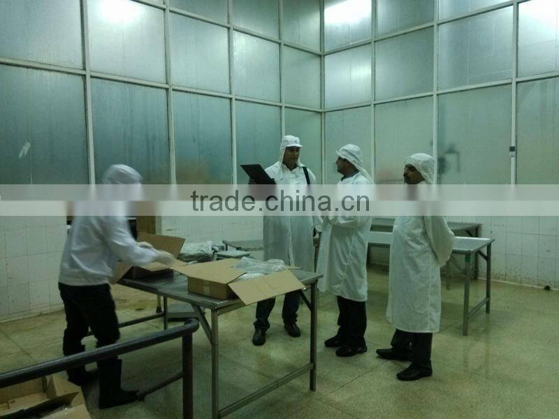 frozen horse mackerel fish