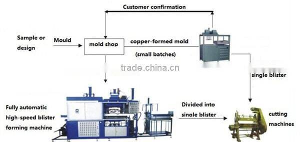 Recyclable Eco-friendly Disposable PET Vegetable Tray