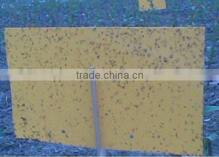 Hot Sale strong adhesive fly trap,yellow board insect killer,fly ribbon ,fly catcher