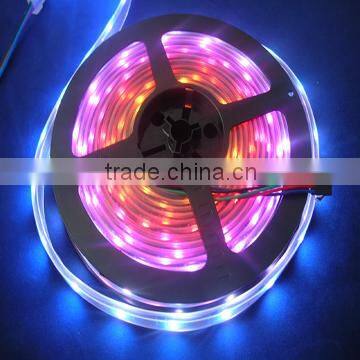 low voltage DC5V waterproof IP67 5050 smd 5m/roll rgb led strip ws2801