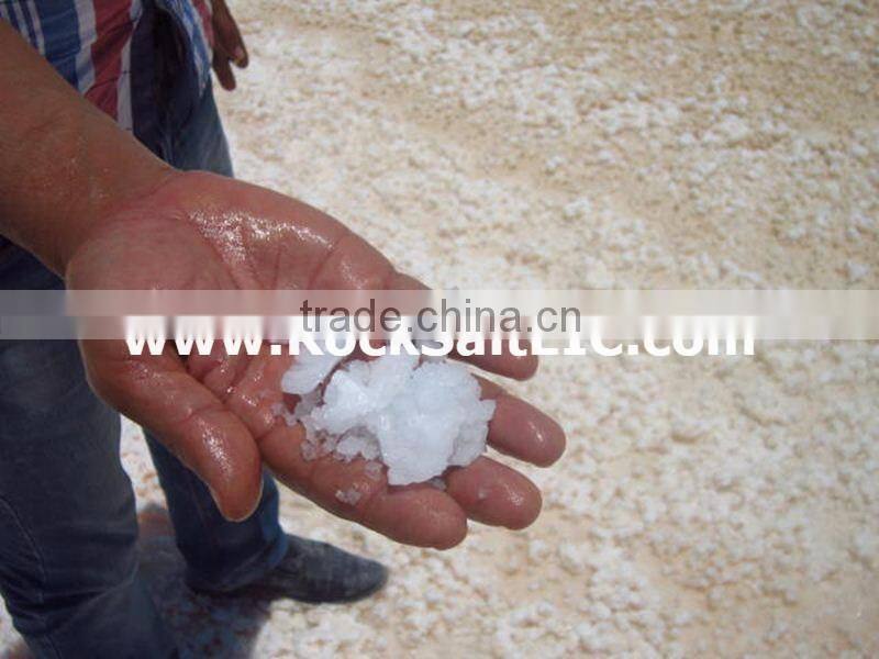 Sodium Chloride 98-99% NACL inspected by (sgs) in bulk shipments