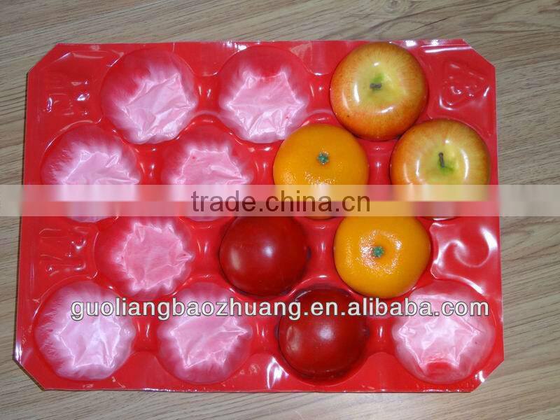 Recycled Fruit Tray Punnet