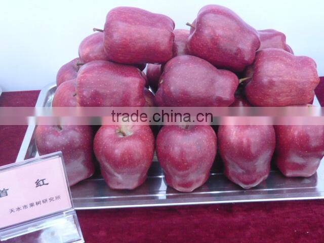 red huaniu apple