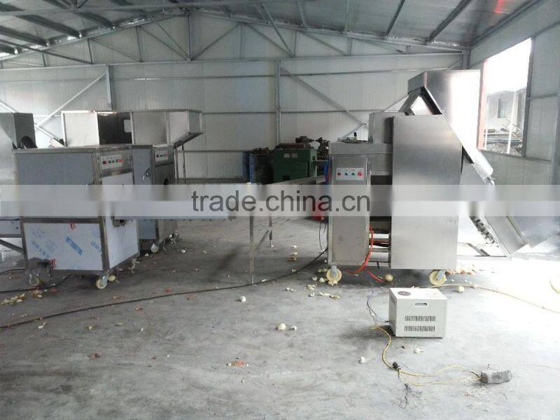 Automatic Fresh Onion Ring Processing Line; Machines for Fresh Onion Ring