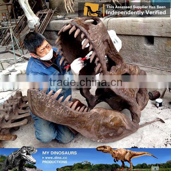 MY Dino-C086 Museum t rex dinosaur head skeleton
